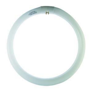 Lampada fluorescente circolina g10 40w 6500k luce fredda