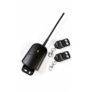 Kit ricevente 12v + 2 telecomandi 433mhz