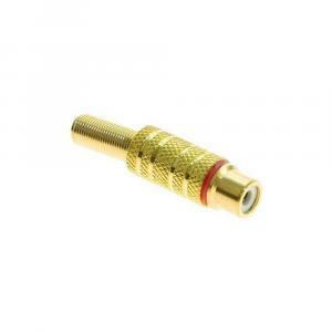 Spinotto femmina rca dorato rosso